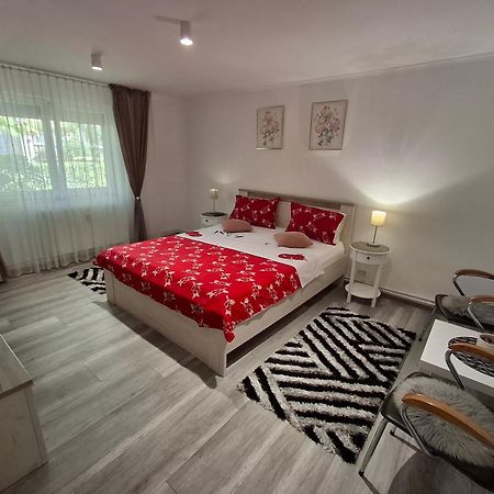 Apartament Claudia Deva Esterno foto